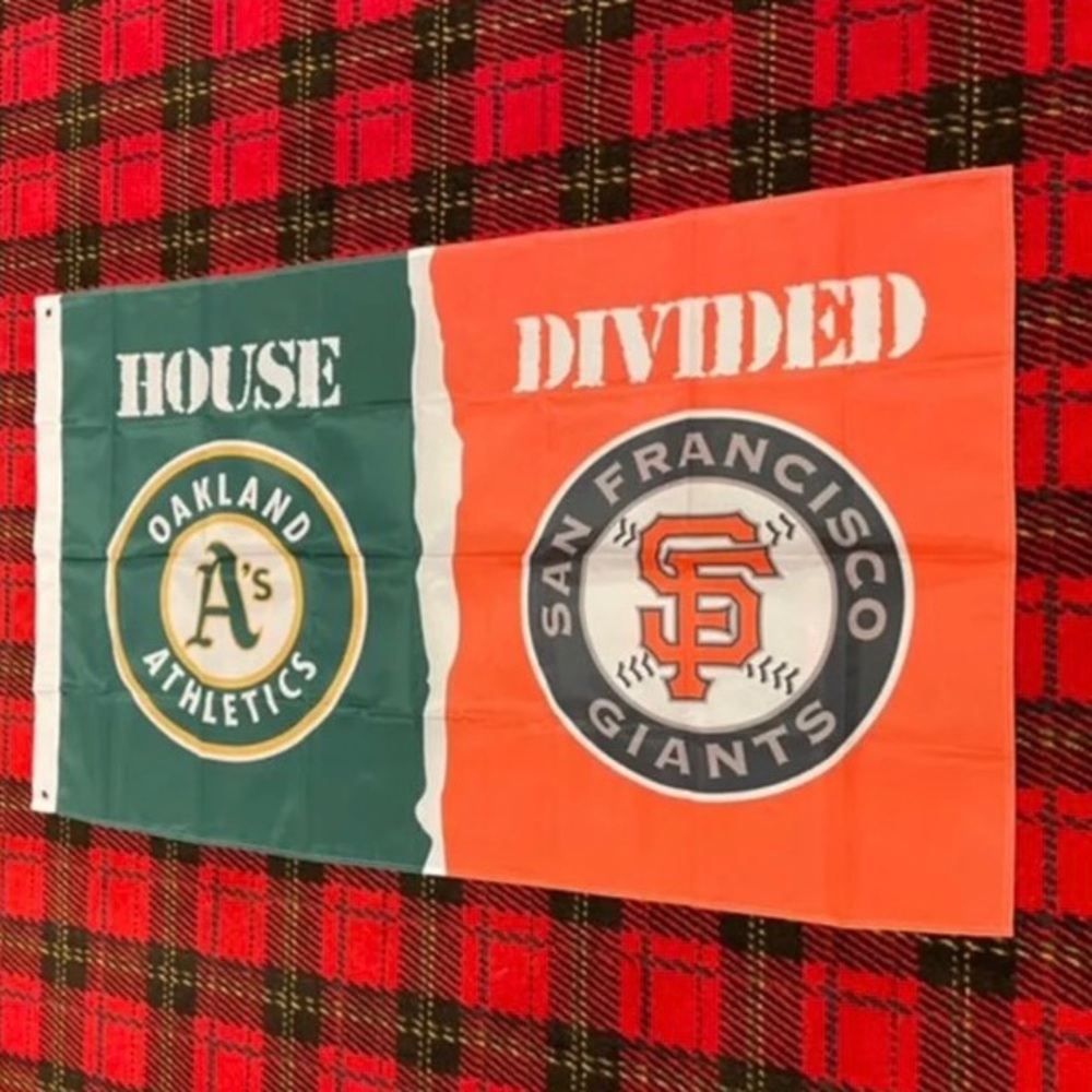 Brand new House Divided banner flag